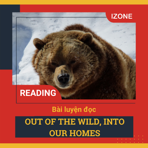 Basic IELTS Reading – UNIT 14: OUT OF THE WILD, INTO OUR HOMES