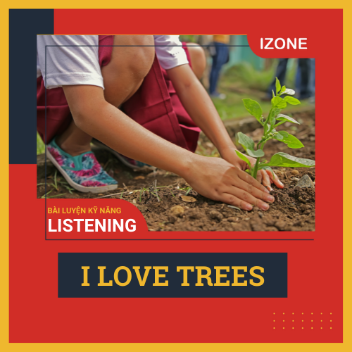 Bài luyện kỹ năng Listening: I LOVE TREES