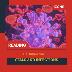 Oxford Read & Discover – Unit 8: Cells and Infections