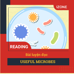 Oxford Read & Discover – Unit 9: Useful Microbes