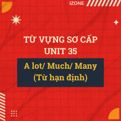 Từ vựng sơ cấp – Unit 35: A lot/ Much/ Many (Từ hạn định)