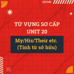 Từ vựng sơ cấp – Unit 20: MY/HIS/THEIR ETC (TÍNH TỪ SỞ HỮU)