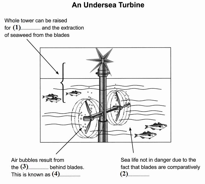 Diagram & Labelling