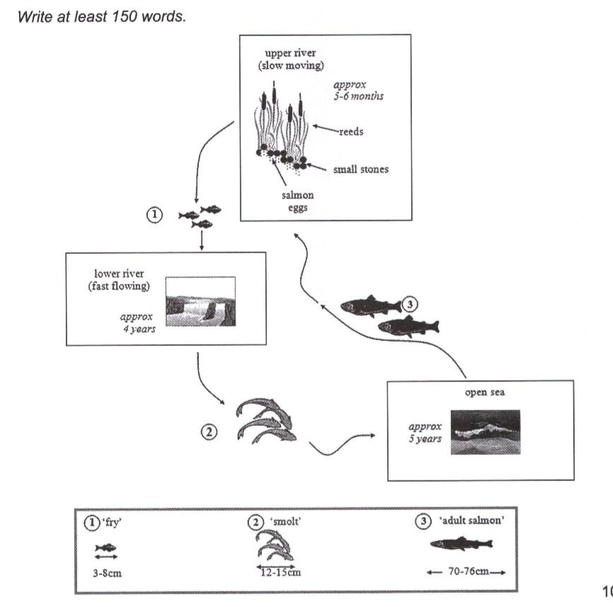          Natural Process: The diagram below shows the life cycle of a salmon, from eggs to adult fish.