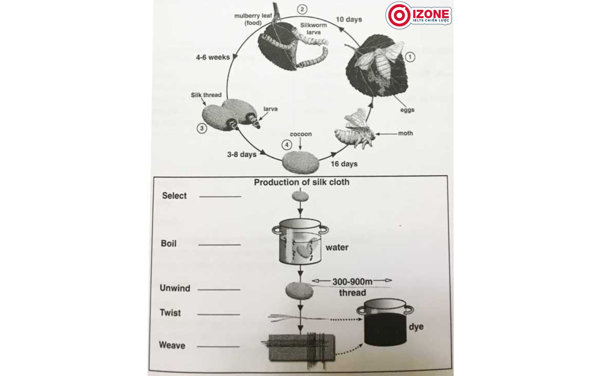 đề thi ielts writing 9