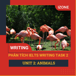 Phân tích Writing Task 2 – Unit 2 – Animals