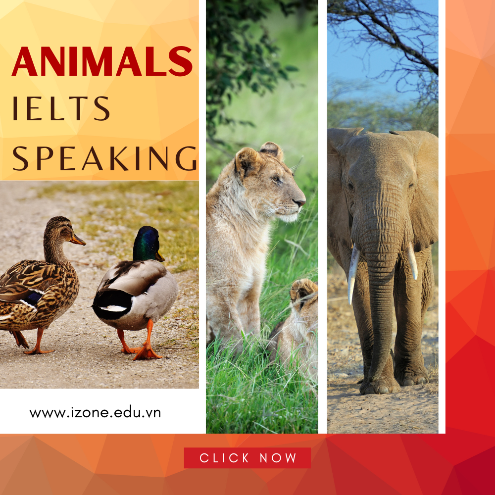 Animals IELTS Speaking: Câu hỏi, từ vựng chủ đề pets, wild animals