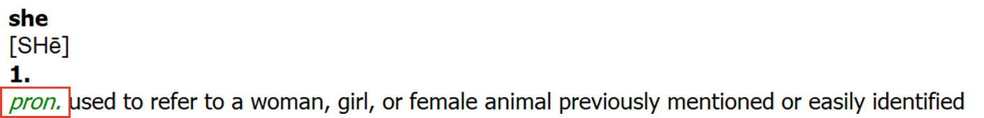 pronoun là gì