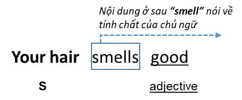Linking-Verb-2