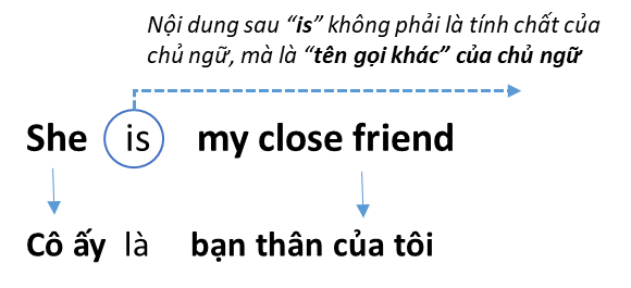 Linking-Verb-5