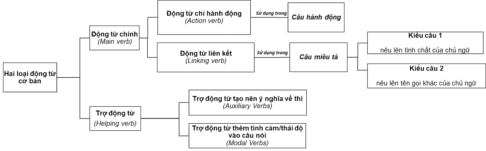Linking-Verb-6