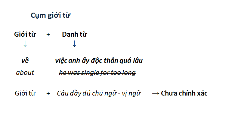 phan-tu-5
