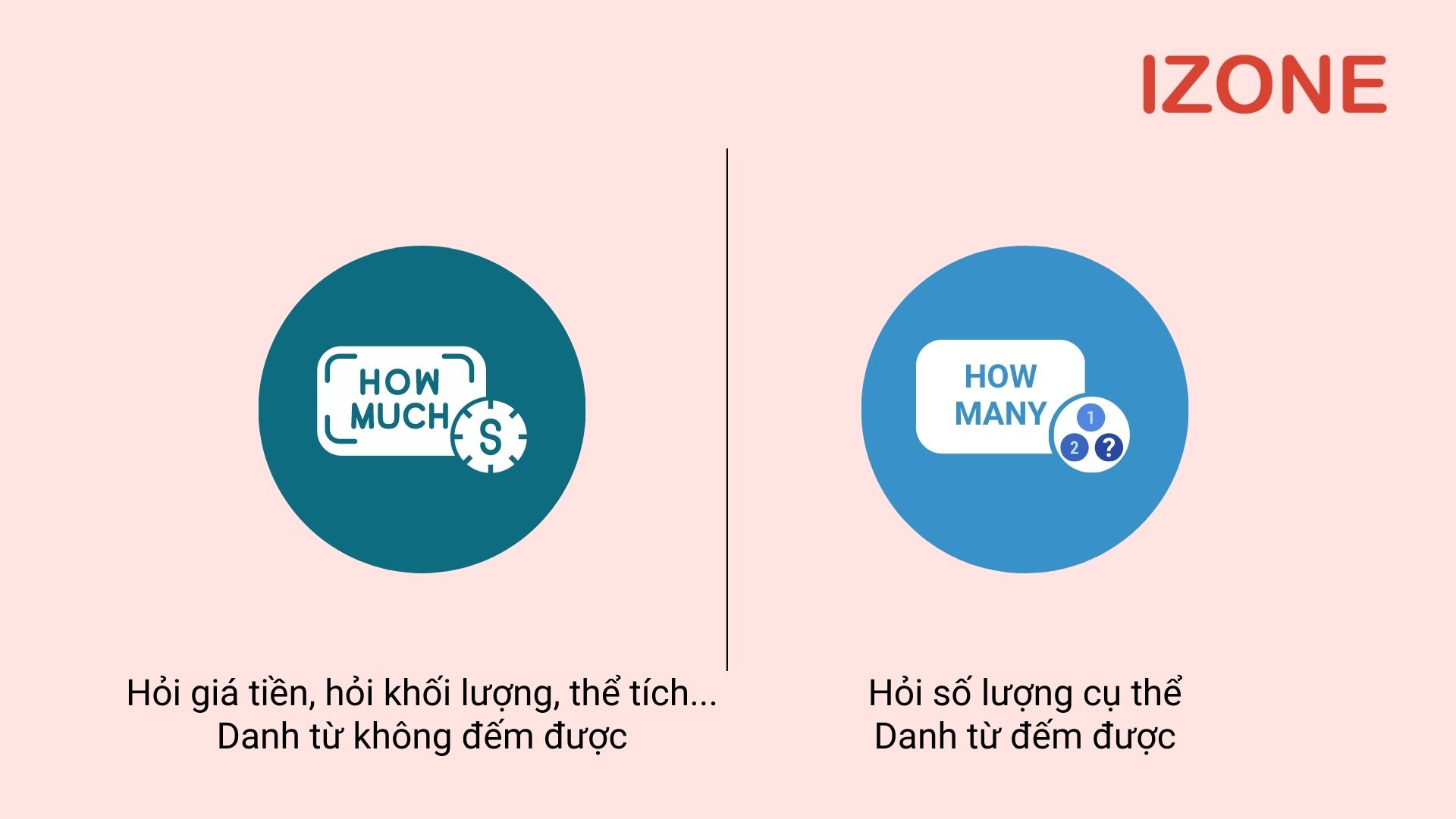 Cấu trúc how many how much