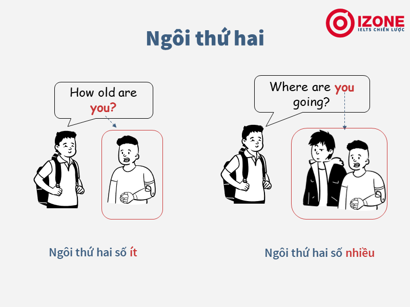Các ngôi trong tiếng anh: Kiến thức quan trọng tránh nhầm lẫn Các Ngôi Trong Tiếng Anh: Kiến Thức Quan Trọng Tránh Nhầm Lẫn
