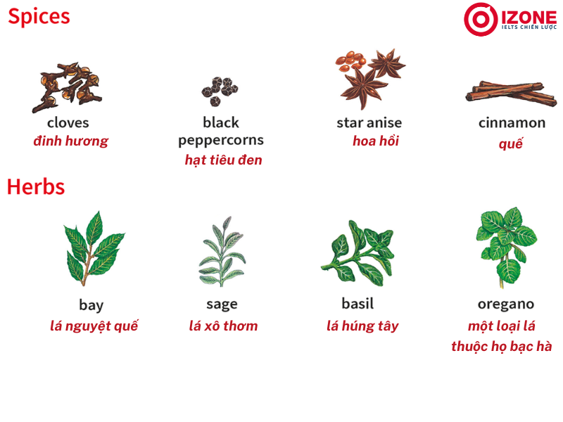 từ vựng tiếng anh về trái cây rau củ