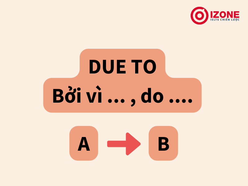 cau-truc-due-to