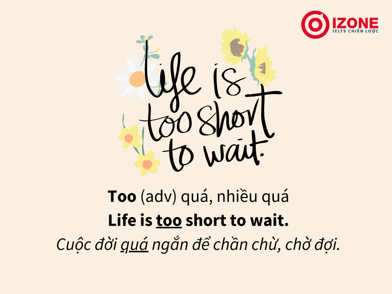 Cấu trúc too to