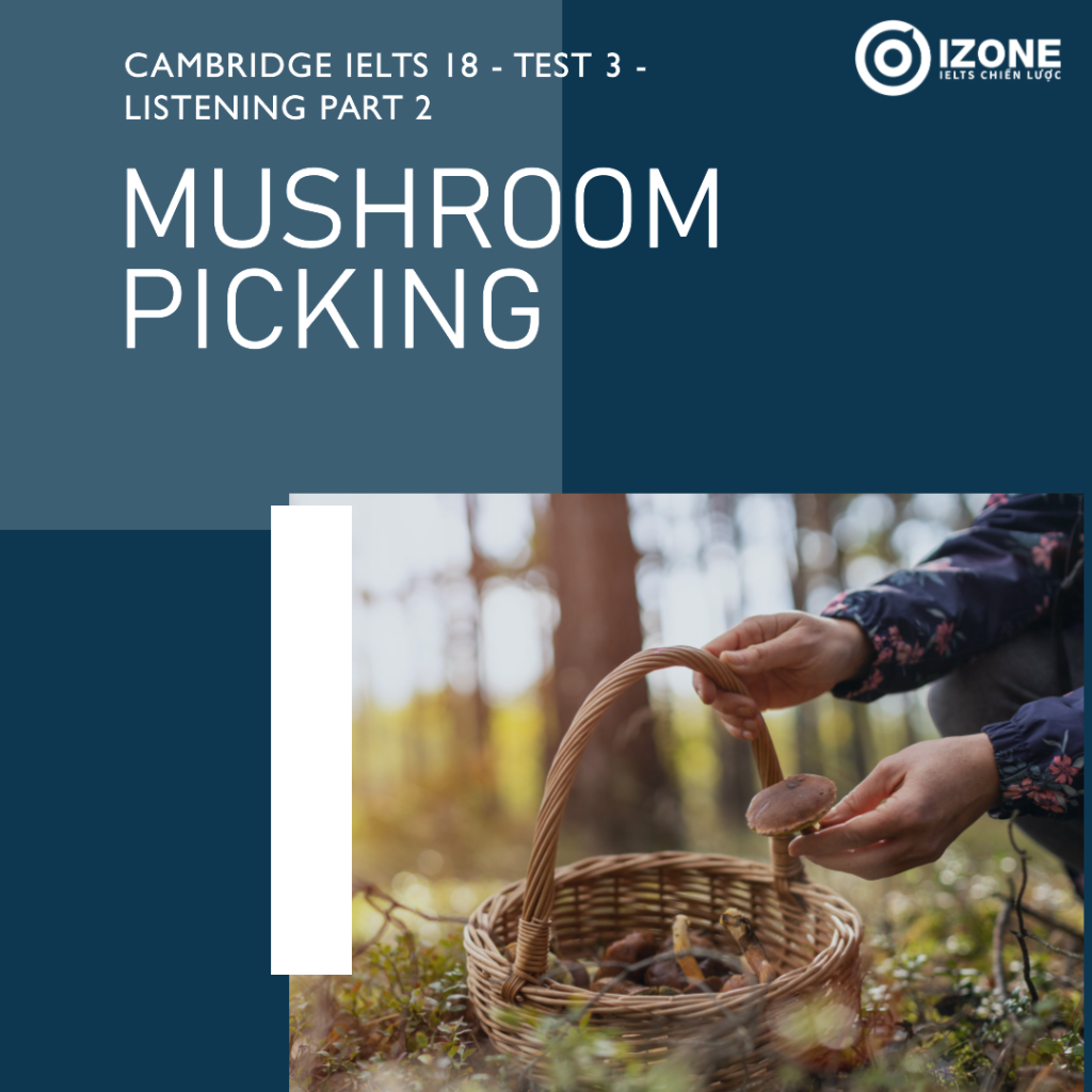 mushroom-picking