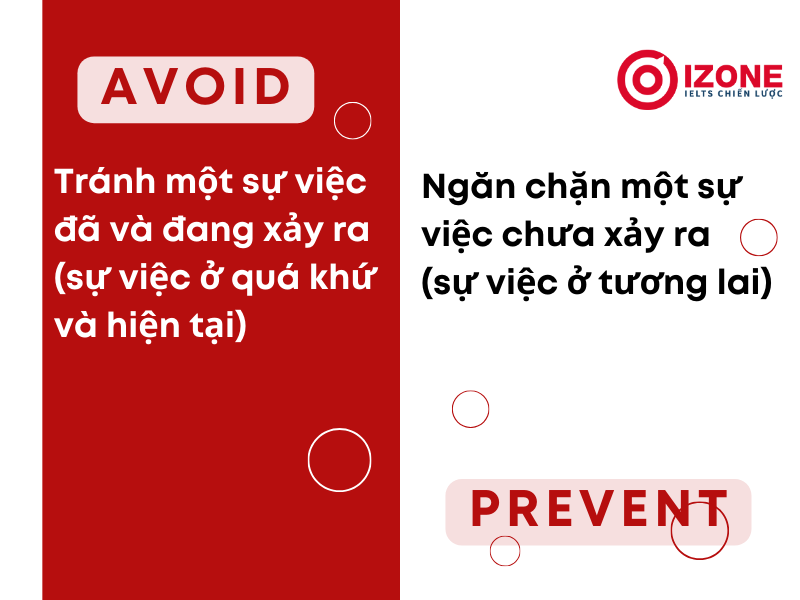 Sau avoid là gì? To V hay Ving