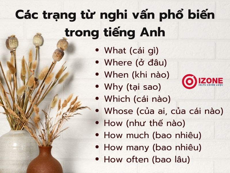 Các trạng từ nghi vấn phổ biến trong tiếng Anh