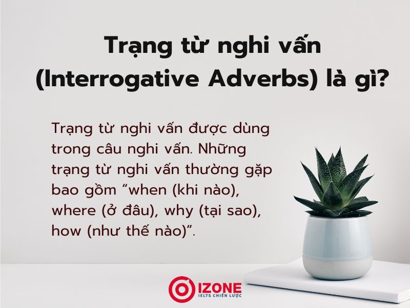 Trạng từ nghi vấn (Interrogative Adverbs) là gì