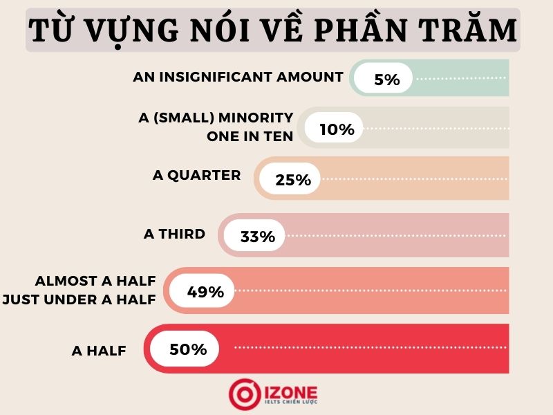 Từ vựng nói về phần trăm