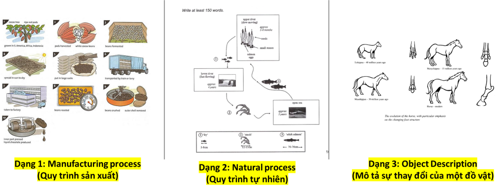 Process (Quy trình)