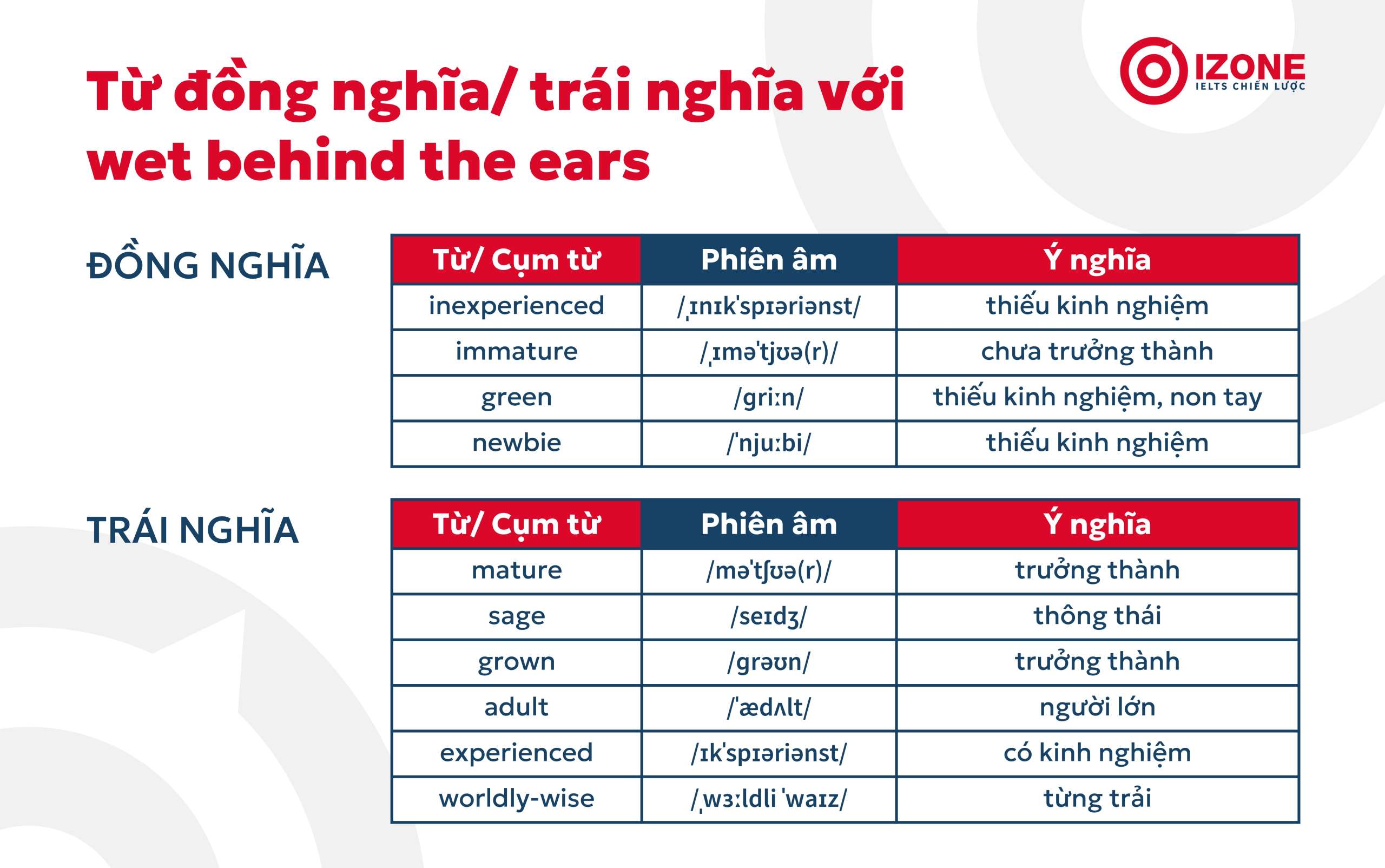 Những cụm từ trái nghĩa với "wet behind the ears"