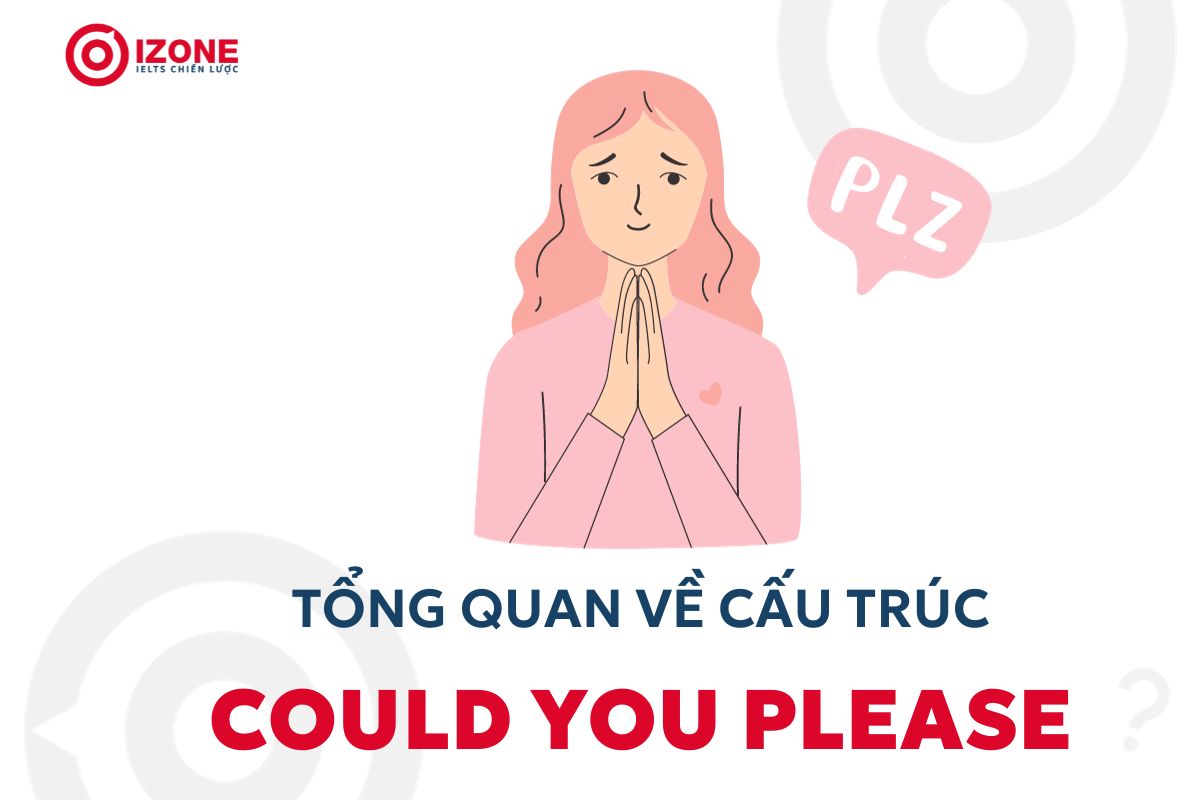 TỔNG QUAN VỀ CẤU TRÚC COULD YOU PLEASE