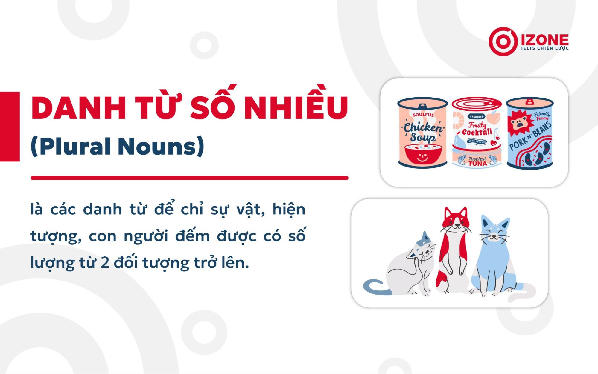 Danh từ số nhiều trong tiếng Anh là gì? Định nghĩa danh từ số nhiều (Plural Nouns)