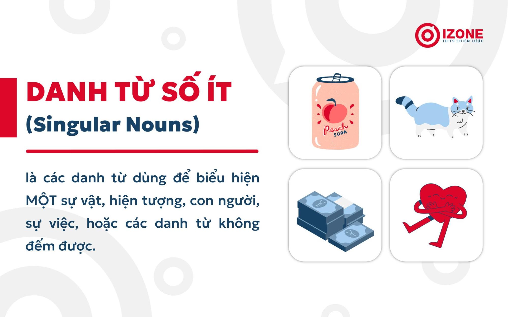 Danh từ số ít trong tiếng Anh là gì? Giải thích về danh từ số ít (Singular Nouns)