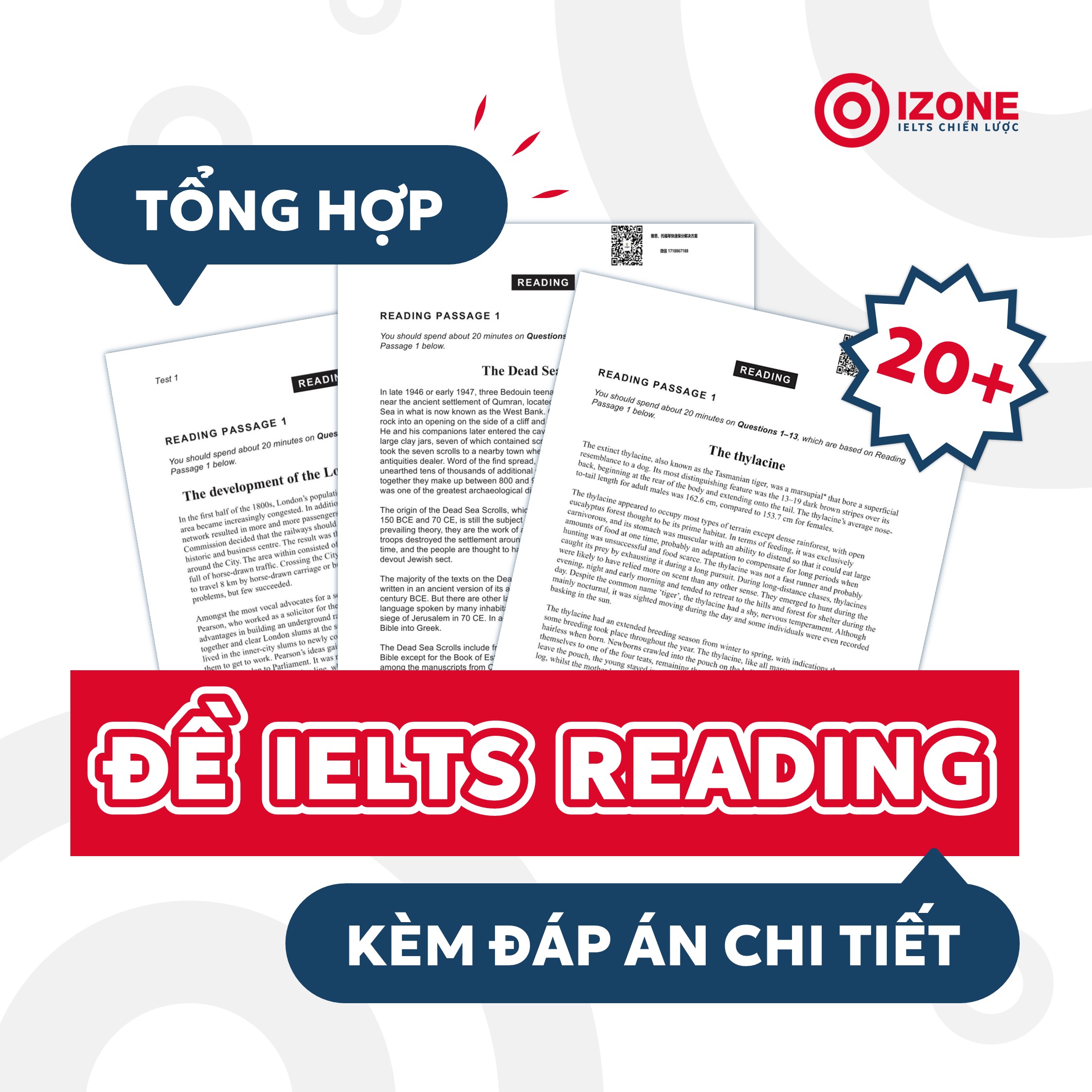 Tổng hợp 20+ đề IELTS Reading PDF ôn luyện chuyên sâu kèm đáp án chi tiết