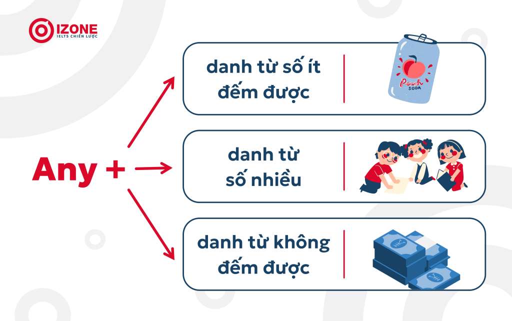 any đi với danh từ số ít hay số nhiều