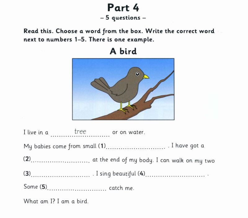 Bố cục bộ sách Starter Cambridge: Part 4 Reading and Writing