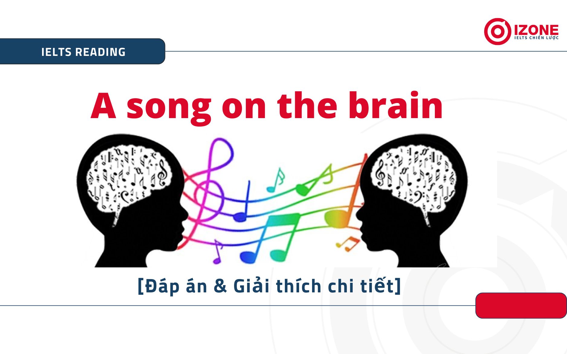 A song on the brain