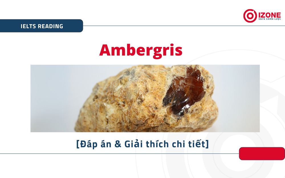 Ambergris IELTS Reading