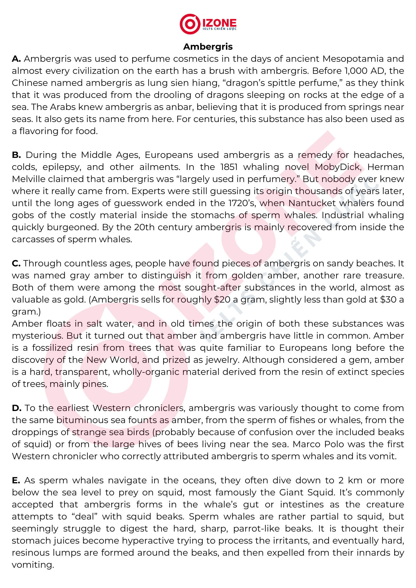 Ambergris IELTS Reading