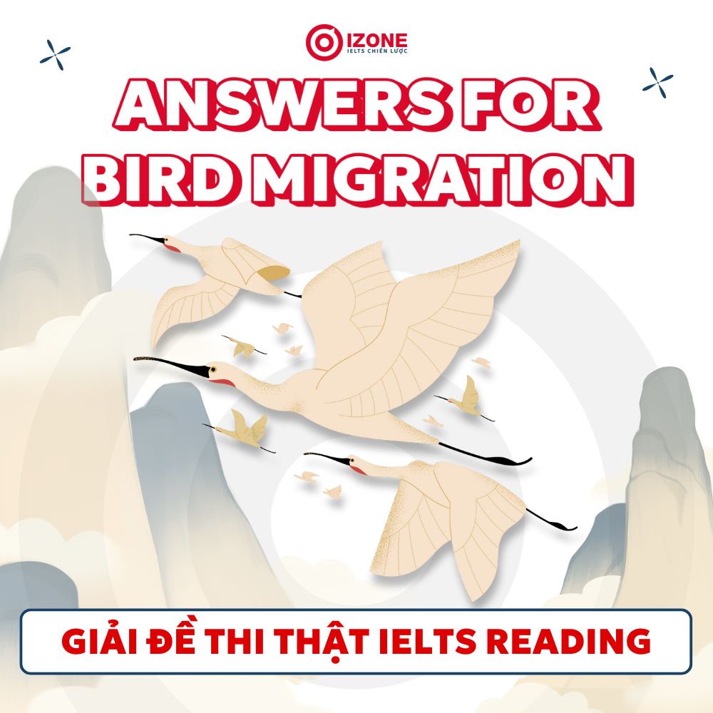 Giải chi tiết Bird Migration – IELTS Reading practice test