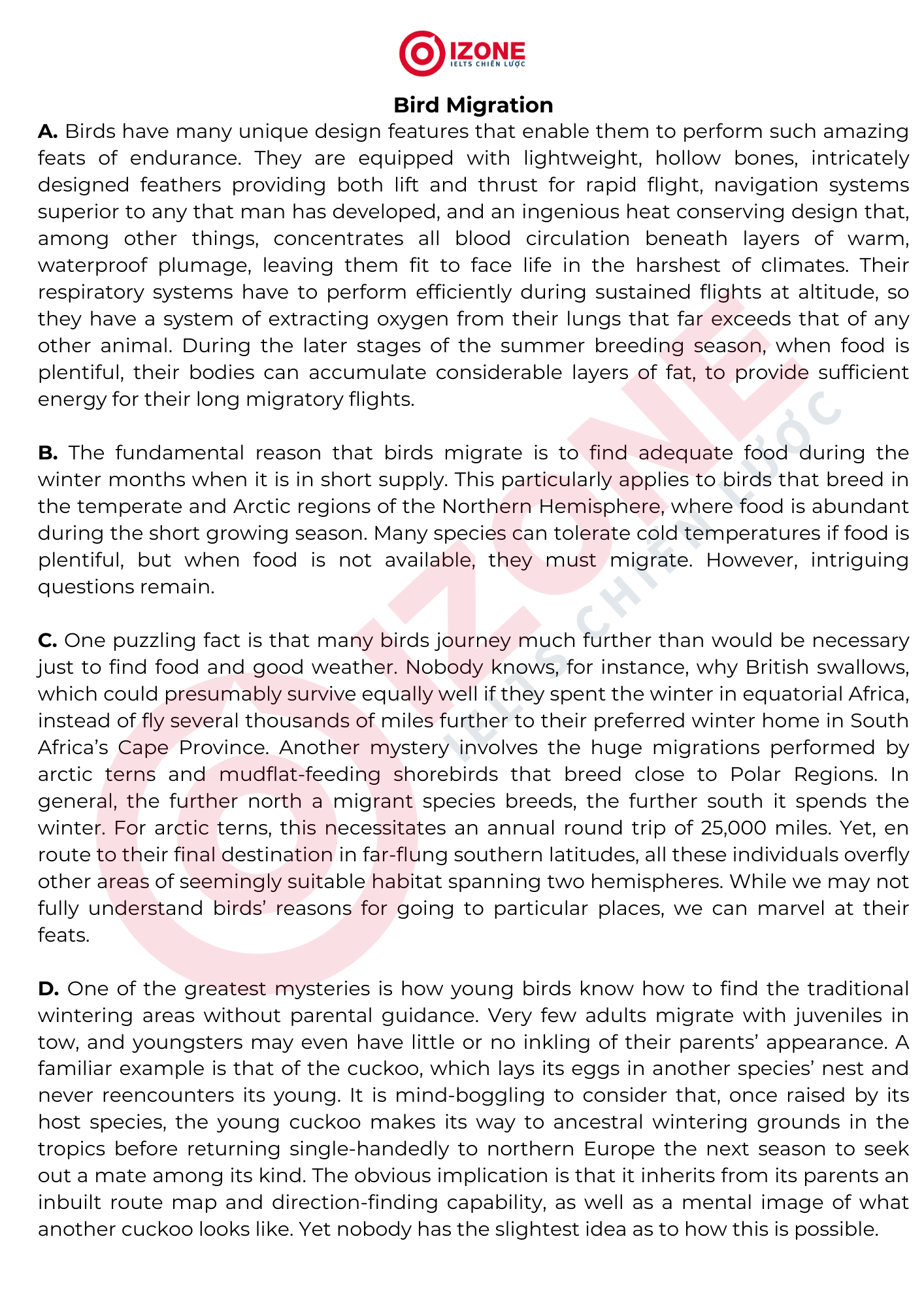 Bird Migration IELTS Reading