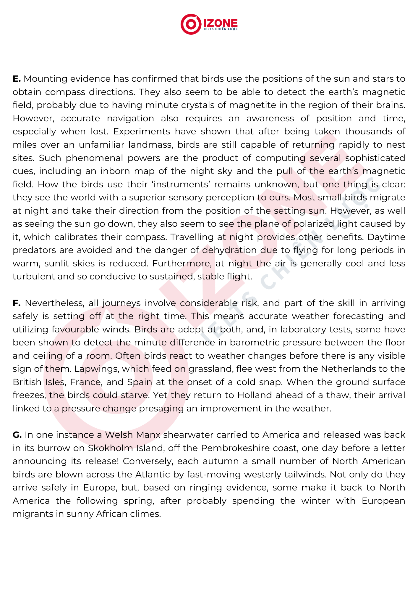 Bird Migration IELTS Reading