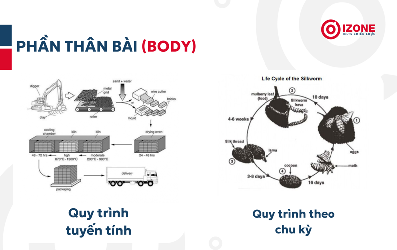 2 quy trình trong phần thân bài của 1 bài writing ielts dạng process