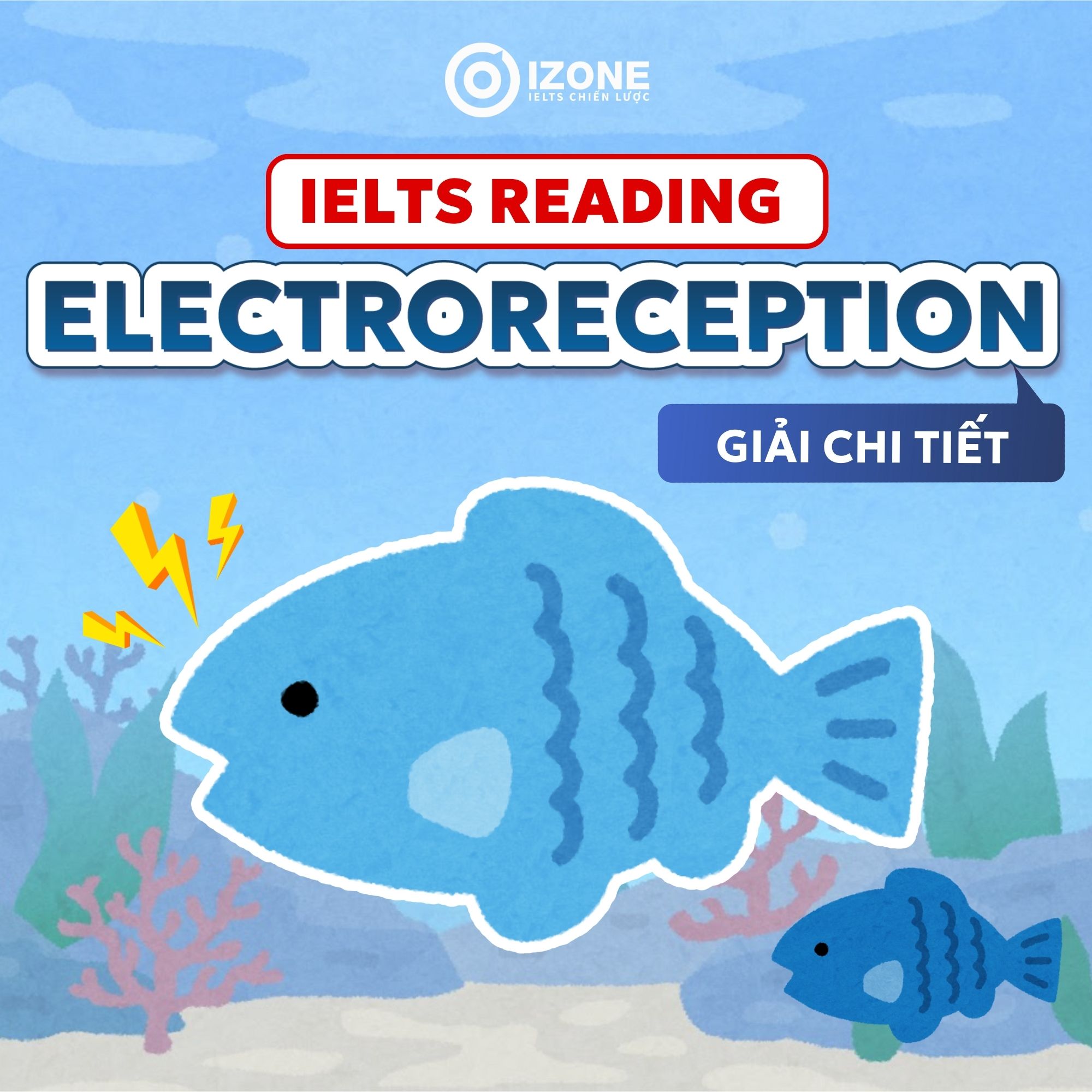 Electroreception IELTS Reading – Giải chi tiết