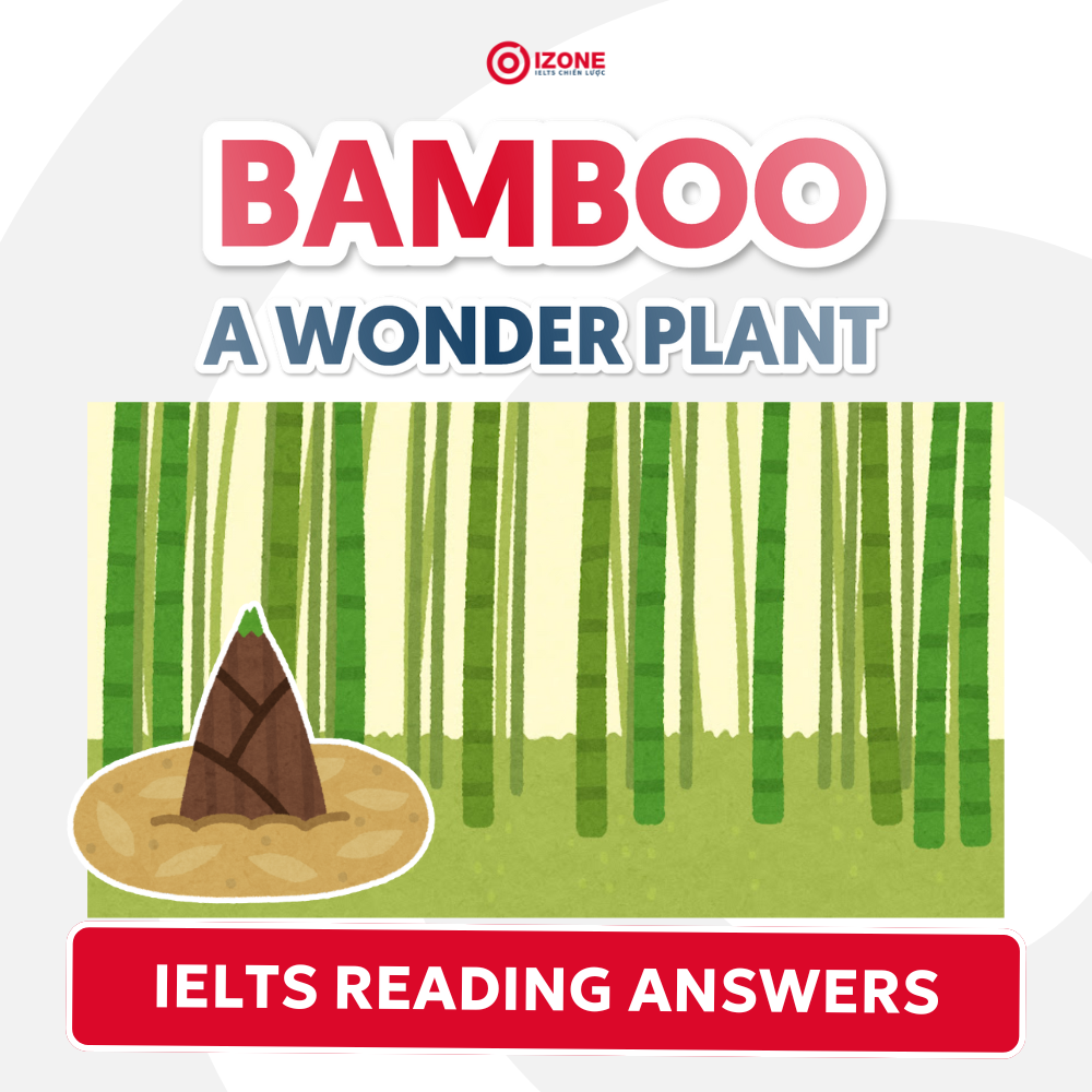 [Giải đáp án chi tiết] Bamboo a wonder plant IELTS Reading