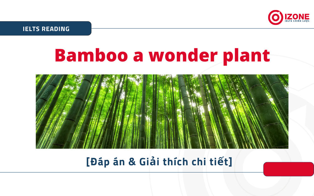 Bamboo a wonder plant IELTS Reading