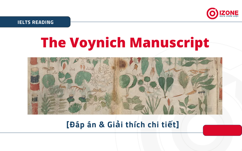 The Voynich Manuscript IELTS Reading