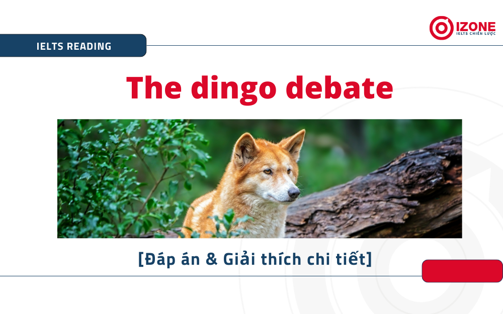 The dingo debate IELTS Reading