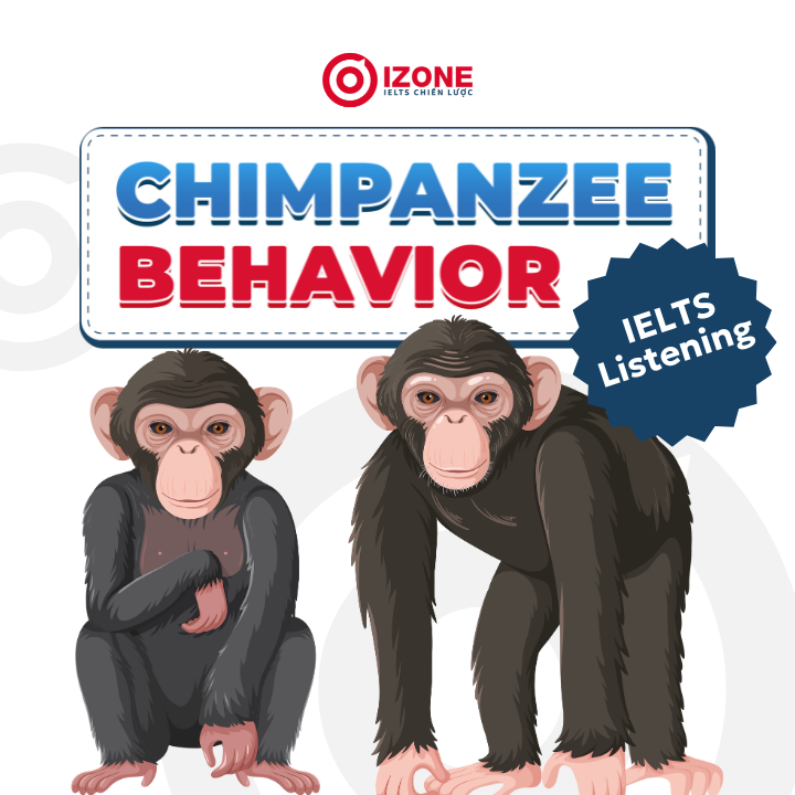 Giải thích đáp án Chimpanzee behavior IELTS Listening