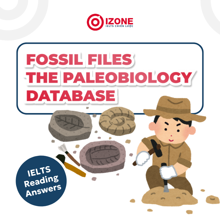 Giải đáp án Fossil files The paleobiology database IELTS Reading