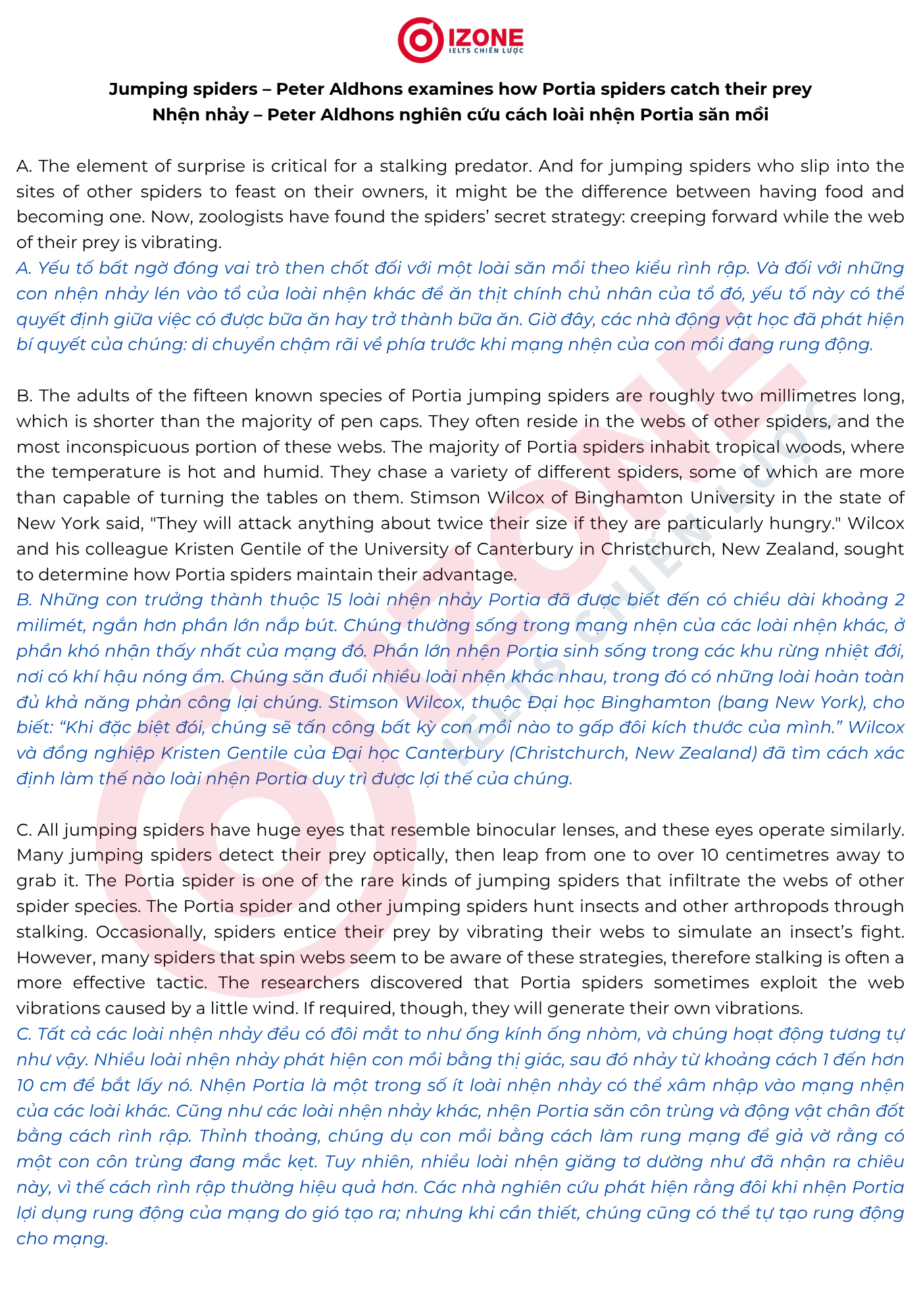 Jumping spider IELTS Reading