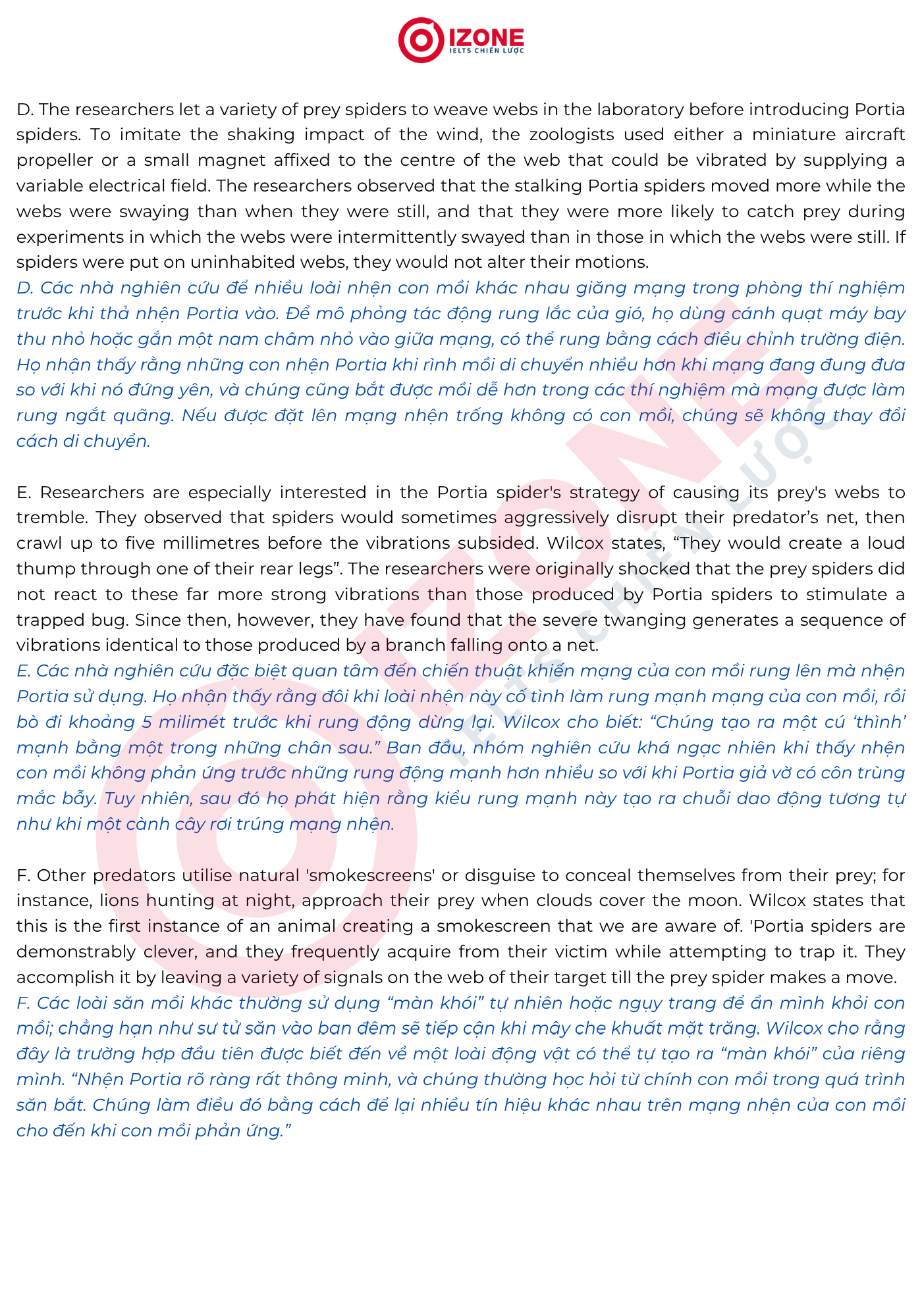 Jumping spider IELTS Reading